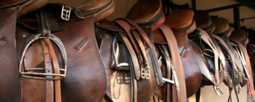 July Horse And Tack Auction July Horse And Tack Auction