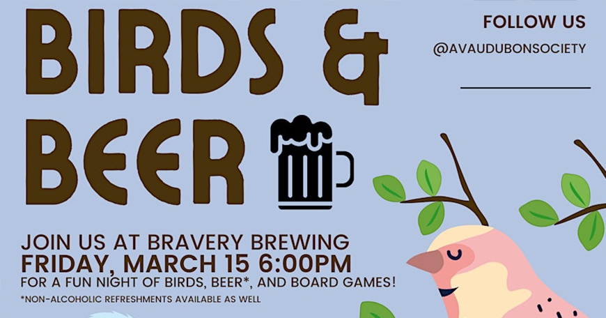 Birds & Beer