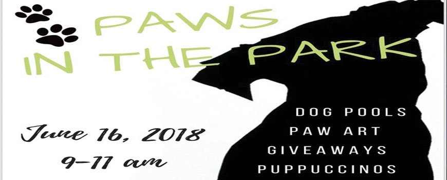 Paws in the Park - One Year Anniversary