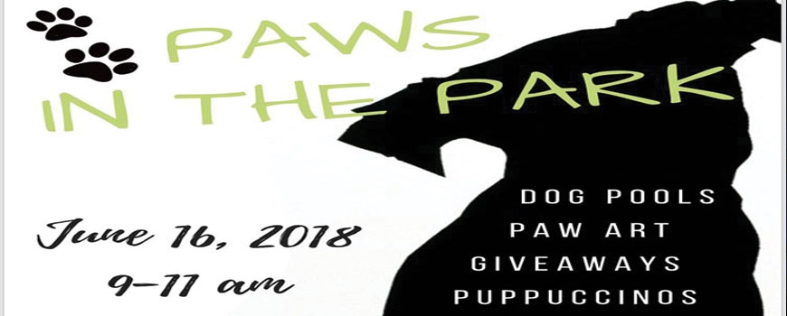 Paws in the Park - One Year Anniversary Paws in the Park - One Year Anniversary