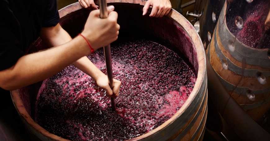 Wine Making for the Hobbyist