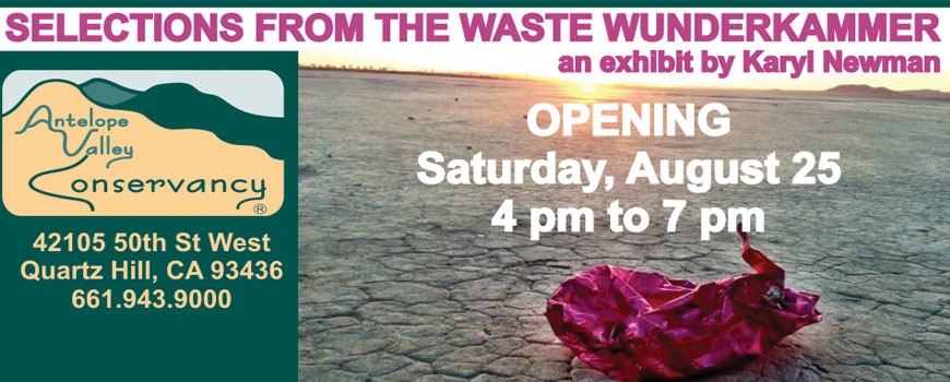 Exhibit Opening: Selections From the Waste Wunderkammer