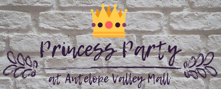 Princess Party Meet and Greet Princess Party Meet and Greet