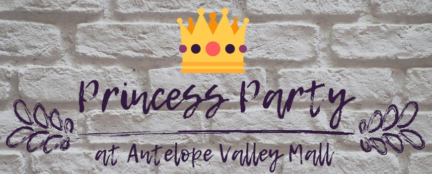 Princess Party Meet and Greet