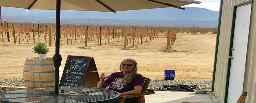 Wine Tasting at Golden Star Vineyards & Winery