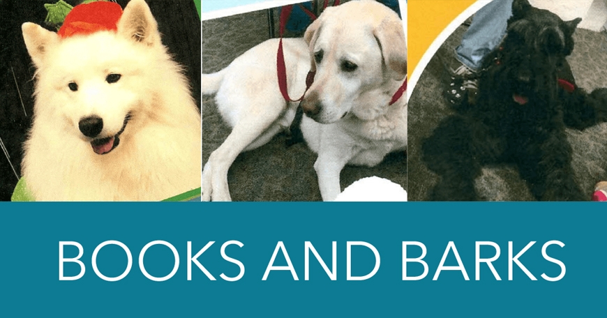 Books and Barks