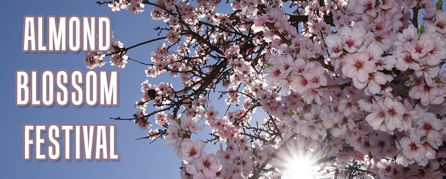 Almond Blossom Festival at George Lane Park Almond Blossom Festival at George Lane Park
