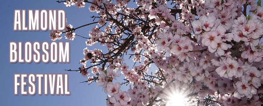 Almond Blossom Festival at George Lane Park