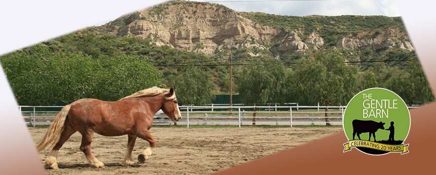 visit gentle barn