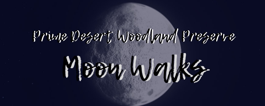 Moon Walks at Prime Desert Woodland Preserve