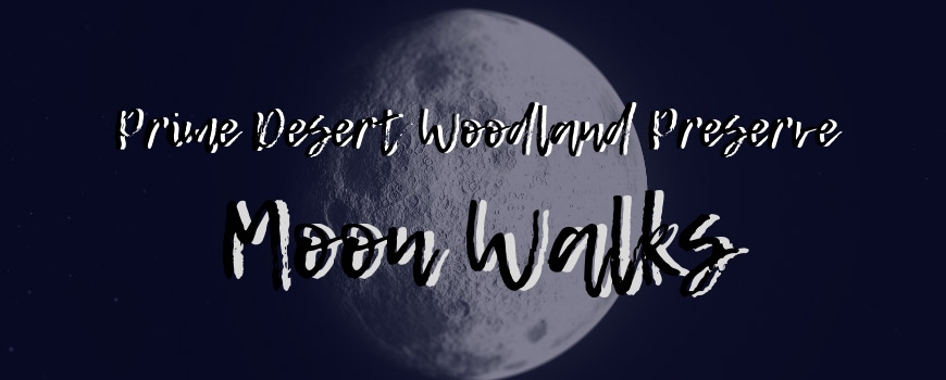 Moon Walks at Prime Desert Woodland Preserve Moon Walks at Prime Desert Woodland Preserve