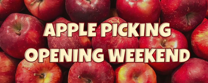 Apple Picking Opening Weekend!