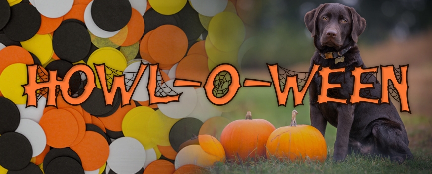 Howl-O-Ween at Yellen Dog Park