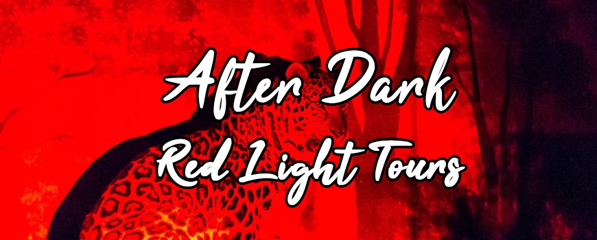 After Dark Red Light Tours at Exotic Feline Breeding Compound
