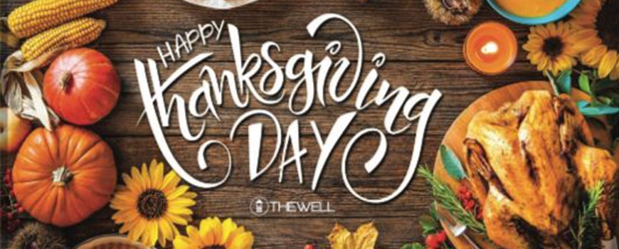 Thanksgiving - Give a Turkey Meal at The Well of AV