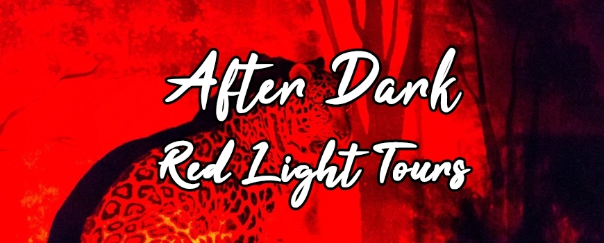 After Dark Red Light Tours at Exotic Feline Breeding Compound After Dark Red Light Tours at Exotic Feline Breeding Compound