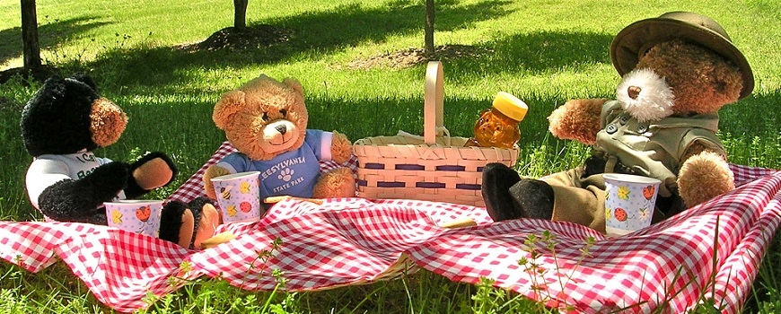 National Teddy Bear Picnic Day