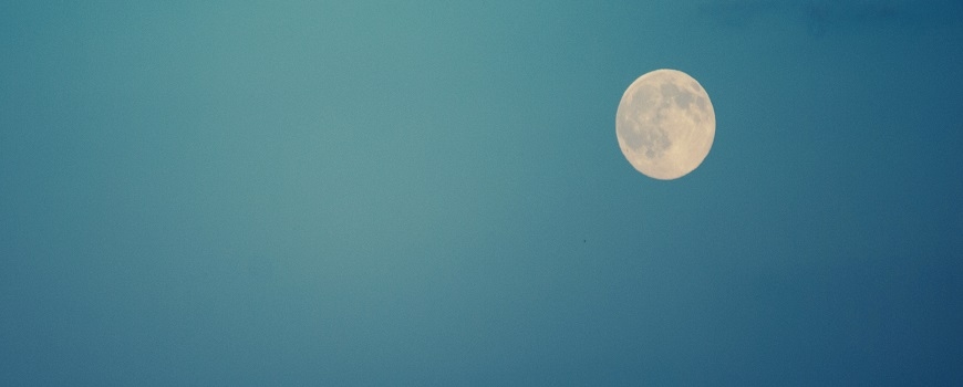 Moon Walks at Prime Desert Woodland Preserve