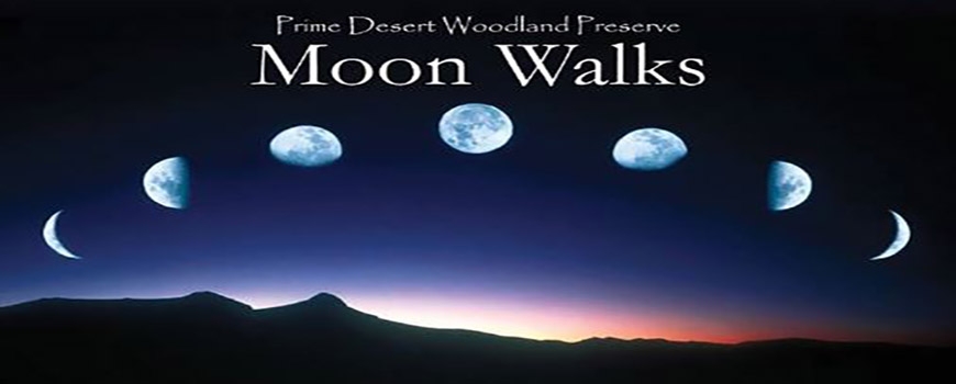 Prime Desert Woodland Moon Walk Prime Desert Woodland Moon Walk