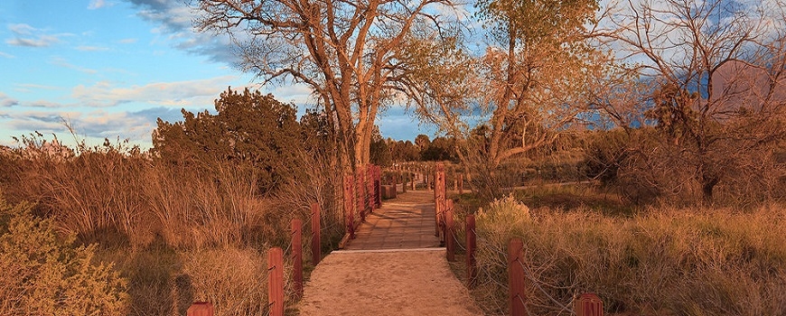 Celebrate "World Ranger Day" at Prime Desert Woodland Preserve