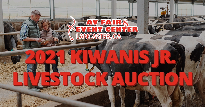 Kiwanis Jr. Livestock Auction Kiwanis Jr. Livestock Auction