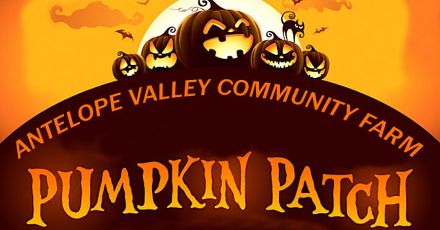 Antelope Valley Community Farm 2nd Annual Pumpkin Patch