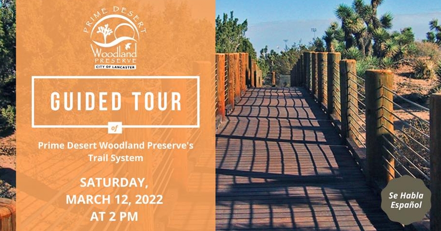 Guided Tour of Prime Desert Woodland Preserve Guided Tour of Prime Desert Woodland Preserve