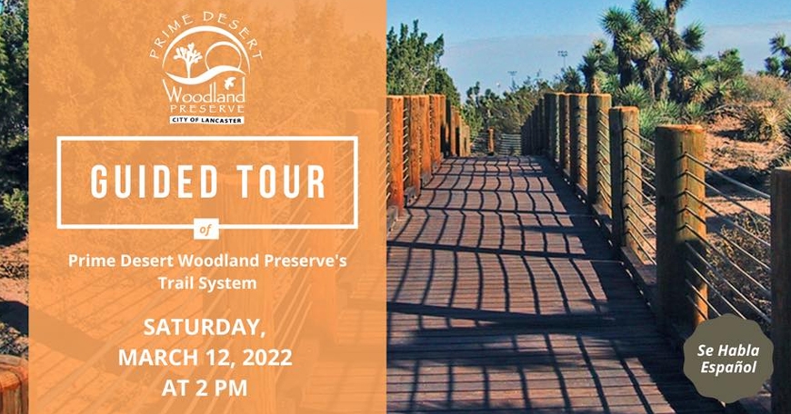 Guided Tour of Prime Desert Woodland Preserve