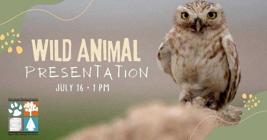 Wild Animal Presentation