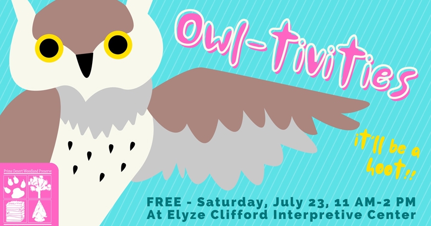 Owl-tivities