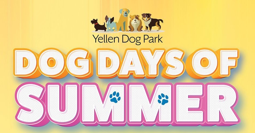 Dog Days of Summer at Yellen Park