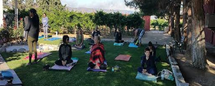 Vineyard Yoga