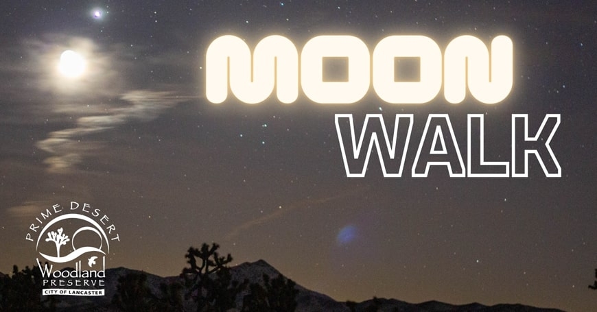 Moonwalks at Prime Desert Woodland Preserve