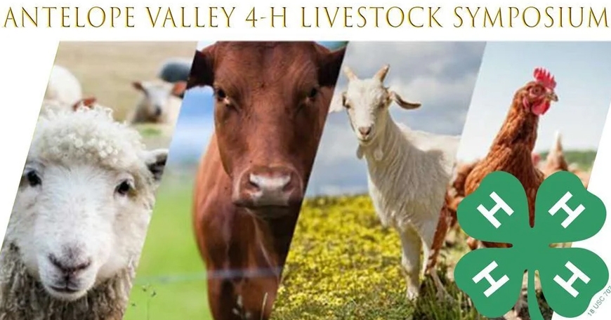 Livestock Symposium Livestock Symposium