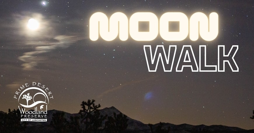 Moonwalks at Prime Desert Woodland Preserve