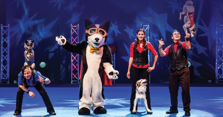 Chris Perondi’s Stunt Dog Experience at LPAC Chris Perondi’s Stunt Dog Experience at LPAC