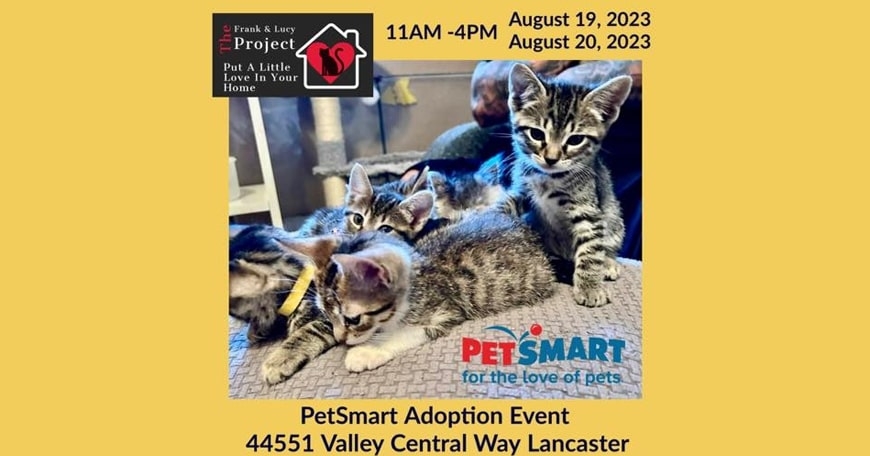 Adoption Event