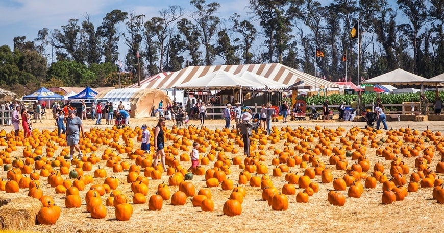 26th Annual Fall Harvest Festival
