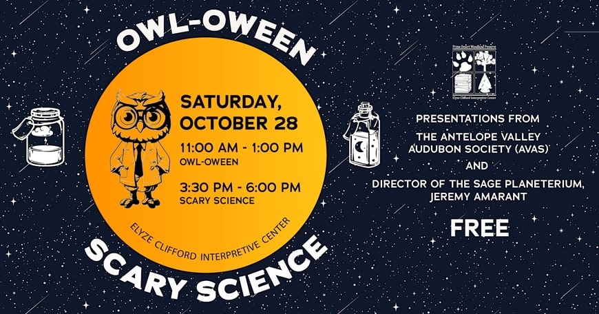 OWL-oween and Scary Science