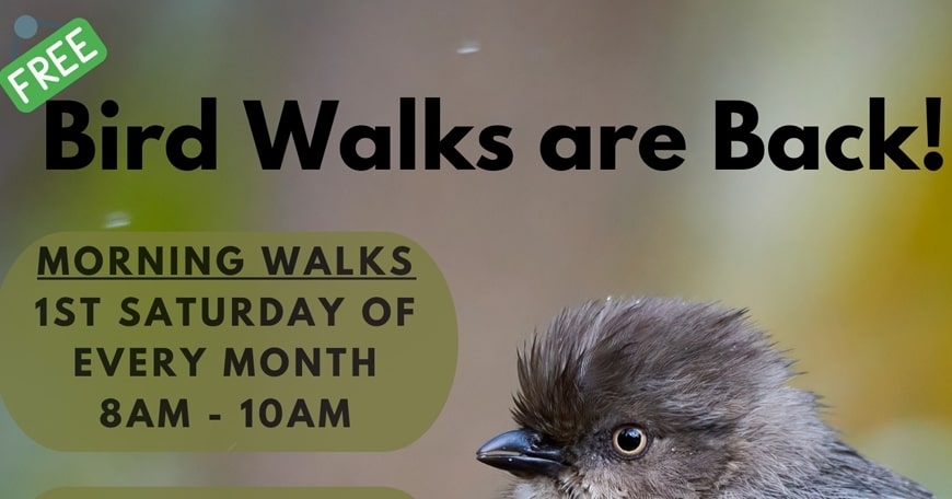 Bird Walk Bird Walk