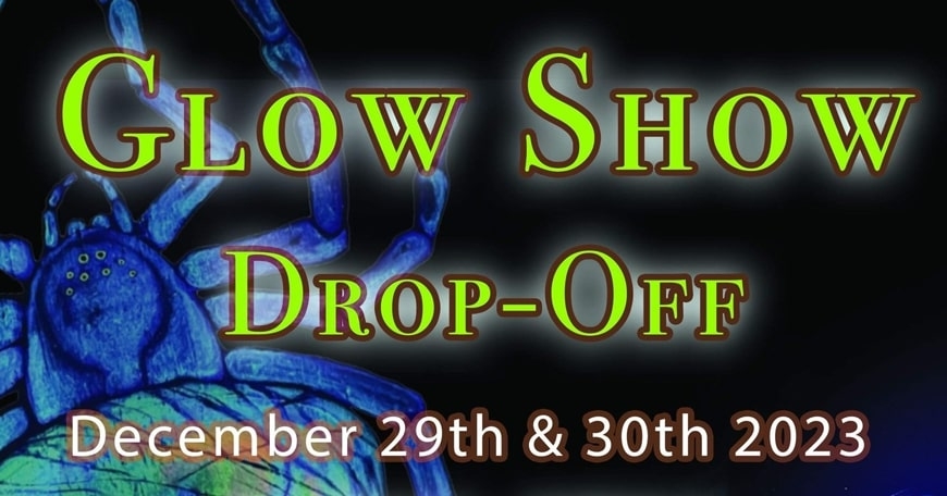 Art Drop-Off: Blacklight Glow Show