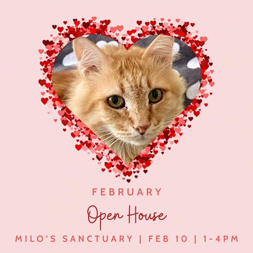 Open House at Trueheart Haven by Milo's Sanctuary