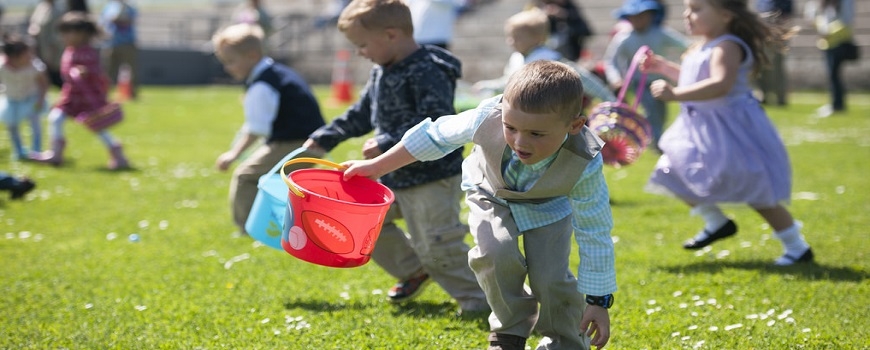 Egg Hunt Extravaganza