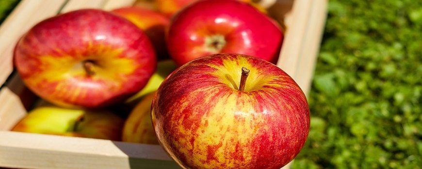 Tehachapi Apple Festival