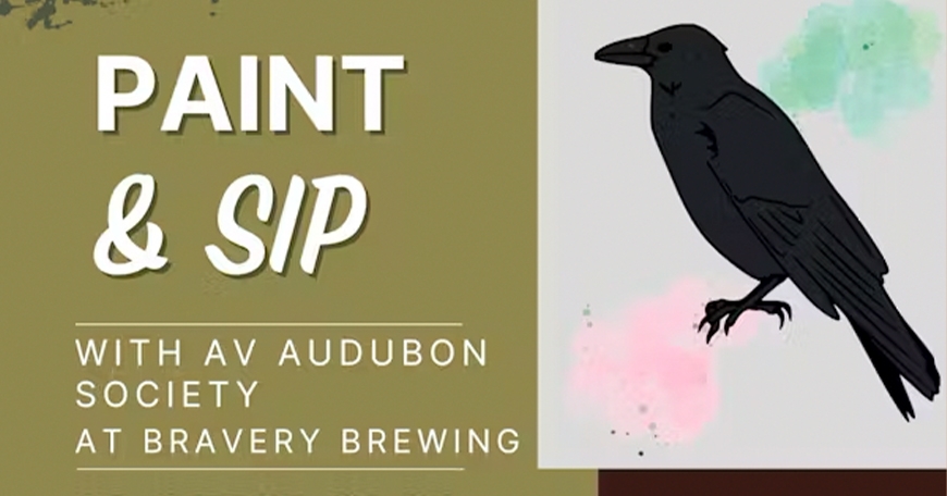 Birds and Beer: Paint and Sip