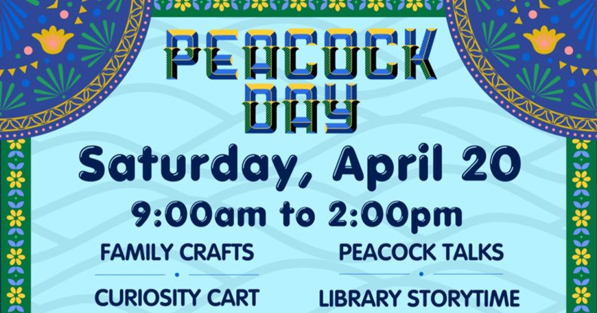 Peacock Day Peacock Day
