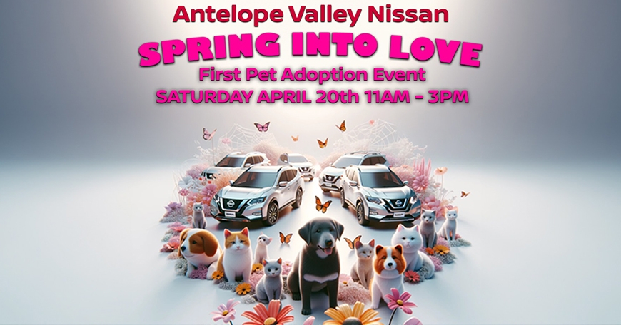 Spring into Love Pet Adoption Event