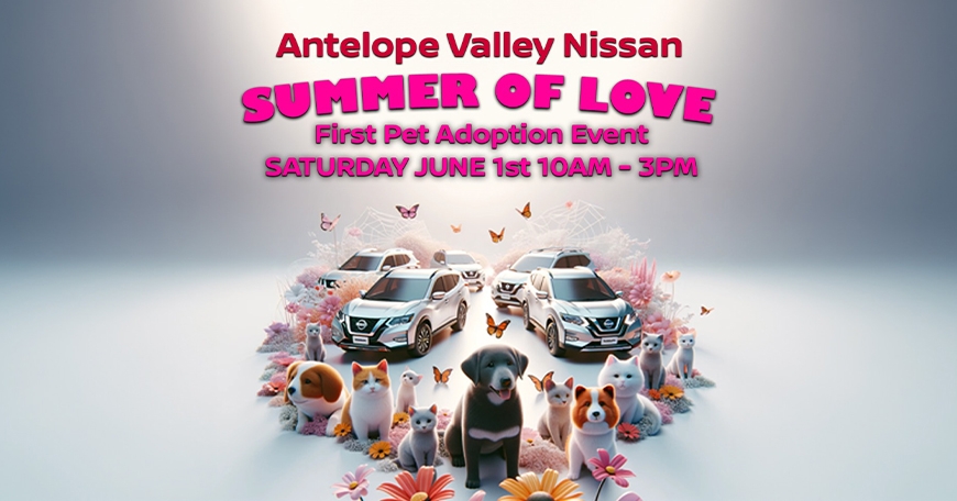 Summer of Love: Pet Adoption Event Summer of Love: Pet Adoption Event