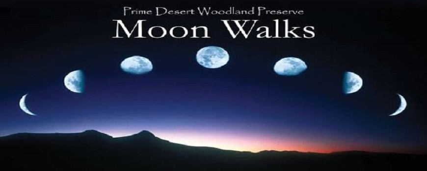 Prime Desert Woodland Moon Walk