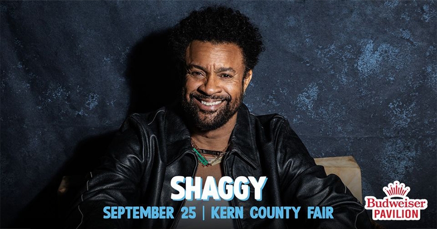 Shaggy Shaggy